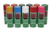 Paint
