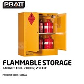 160L 2 Doors 2 Shelves Flammable Liquid Storage Cabinet