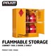 160L 2 Doors 2 Shelves Flammable Liquid Storage Cabinet